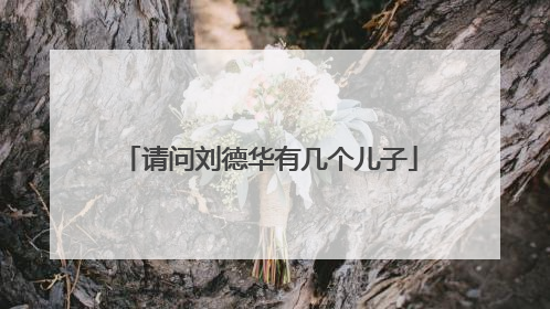 请问刘德华有几个儿子