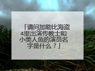 请问加勒比海盗4里出演传教士和小美人鱼的演员名字是什么?