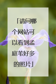 请问哪个网站可以看到孟庭苇好多的照片
