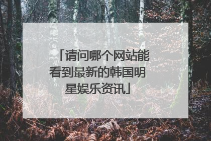 请问哪个网站能看到最新的韩国明星娱乐资讯