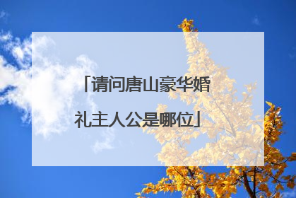 请问唐山豪华婚礼主人公是哪位