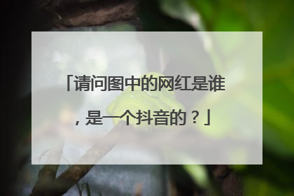 请问图中的网红是谁,是一个抖音的?