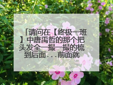 请问在【终极一班】中唐禹哲的那个把头发全一撮一撮的梳到后面...前面就大背的那个发型叫什么名字?