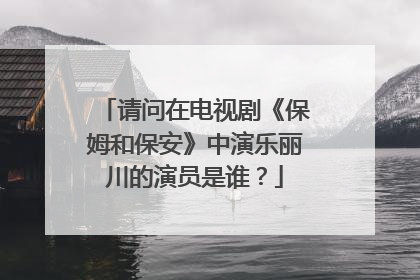 请问在电视剧《保姆和保安》中演乐丽川的演员是谁？