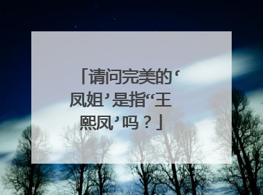 请问完美的‘凤姐’是指“王熙凤’吗?