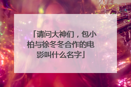 请问大神们，包小柏与徐冬冬合作的电影叫什么名字