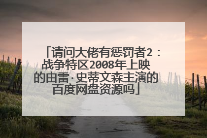 请问大佬有惩罚者2：战争特区2008年上映的由雷·史蒂文森主演的百度网盘资源吗