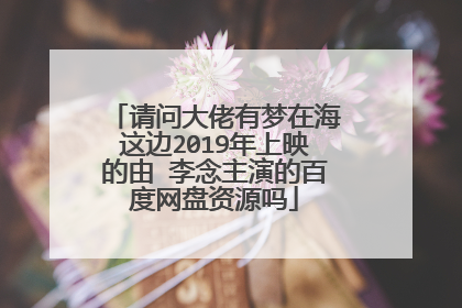 请问大佬有梦在海这边2019年上映的由 李念主演的百度网盘资源吗