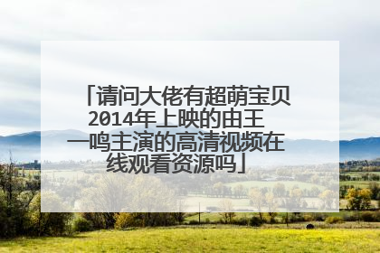 请问大佬有超萌宝贝2014年上映的由王一鸣主演的高清视频在线观看资源吗