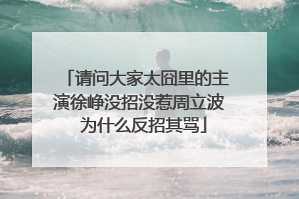 请问大家太囧里的主演徐峥没招没惹周立波 为什么反招其骂