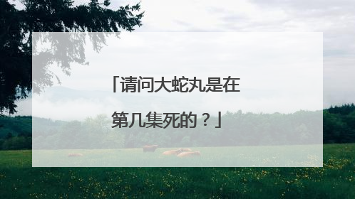 请问大蛇丸是在第几集死的?