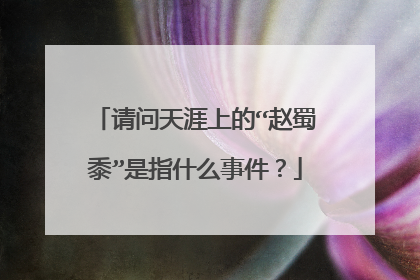 请问天涯上的“赵蜀黍”是指什么事件?