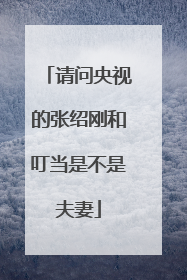 请问央视的张绍刚和叮当是不是夫妻