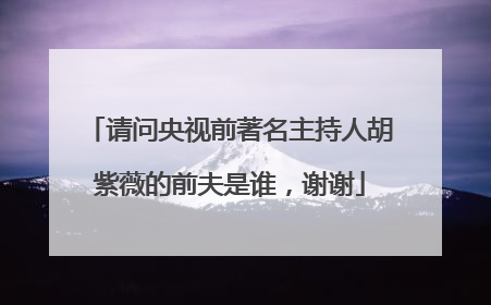 请问央视前著名主持人胡紫薇的前夫是谁，谢谢