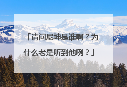 请问尼坤是谁啊？为什么老是听到他咧？
