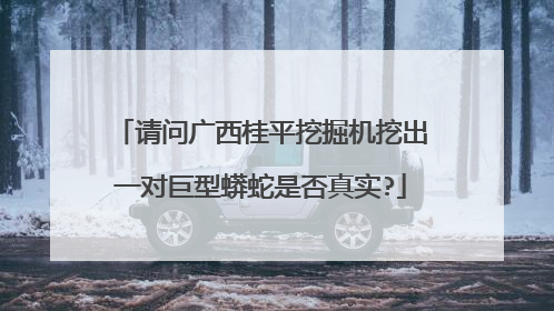 请问广西桂平挖掘机挖出一对巨型蟒蛇是否真实?