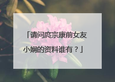 请问庹宗康前女友小娴的资料谁有？