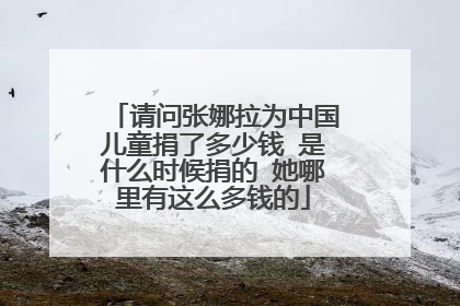 请问张娜拉为中国儿童捐了多少钱 是什么时候捐的 她哪里有这么多钱的