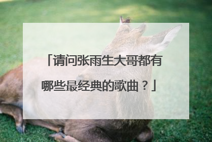 请问张雨生大哥都有哪些最经典的歌曲？