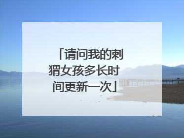 请问我的刺猬女孩多长时间更新一次