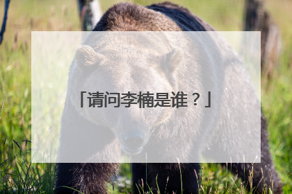 请问李楠是谁？