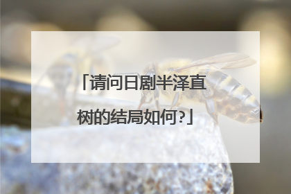 请问日剧半泽直树的结局如何?