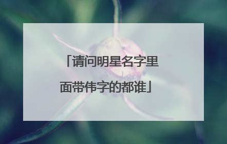 请问明星名字里面带伟字的都谁