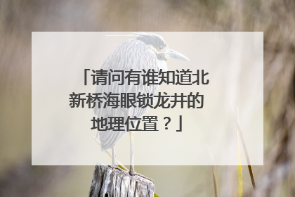 请问有谁知道北新桥海眼锁龙井的地理位置?