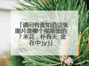 请问有谁知道这张图片是哪个视频里的？米花，朴有天 金在中jyj