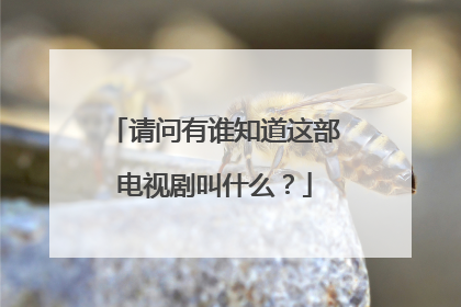 请问有谁知道这部电视剧叫什么?