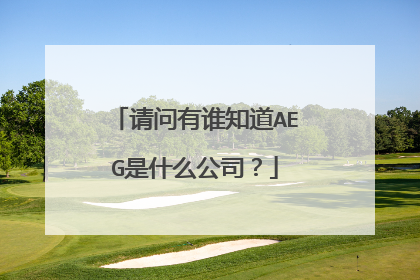 请问有谁知道AEG是什么公司?