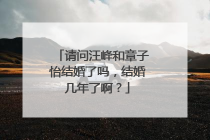 请问汪峰和章子怡结婚了吗，结婚几年了啊？