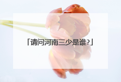 请问河南三少是谁?