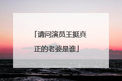 请问演员王挺真正的老婆是谁