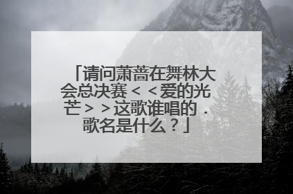 请问萧蔷在舞林大会总决赛＜＜爱的光芒＞＞这歌谁唱的．歌名是什么？