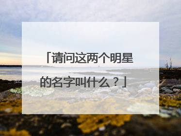 请问这两个明星的名字叫什么？