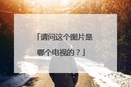请问这个图片是哪个电视的？