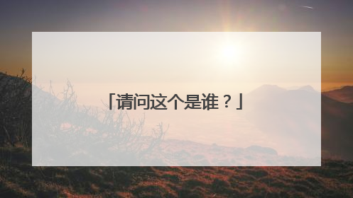 请问这个是谁?