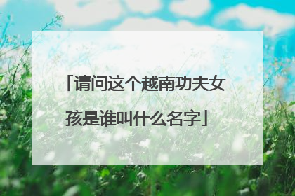 请问这个越南功夫女孩是谁叫什么名字