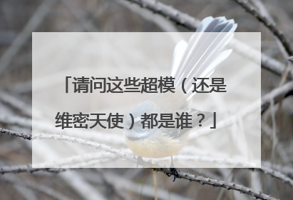 请问这些超模(还是维密天使)都是谁?
