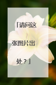 请问这张图片出处？