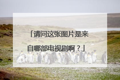 请问这张图片是来自哪部电视剧啊?