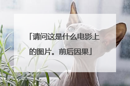 请问这是什么电影上的图片。前后因果