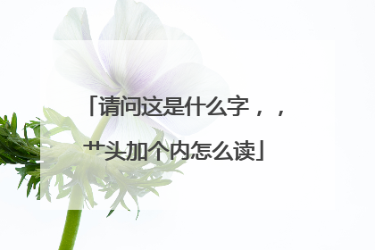 请问这是什么字,,艹头加个内怎么读