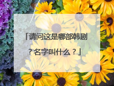 请问这是哪部韩剧？名字叫什么？