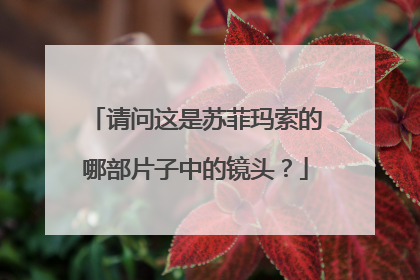 请问这是苏菲玛索的哪部片子中的镜头?