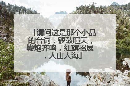 请问这是那个小品的台词，锣鼓喧天，鞭炮齐鸣，红旗招展，人山人海