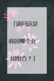 请问这是韩国哪个女团组合？
