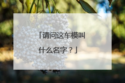 请问这车模叫什么名字？
