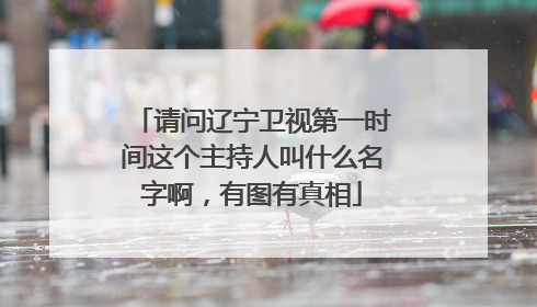 请问辽宁卫视第一时间这个主持人叫什么名字啊，有图有真相
